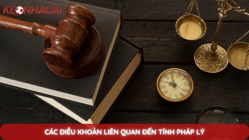Các điều khoản liên quan đến tính pháp lý